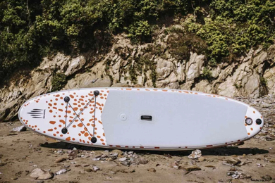sup-shark-10-windsurf.webp